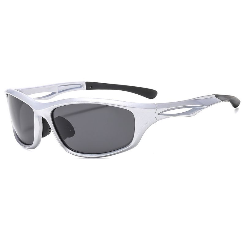 Silver / Gray